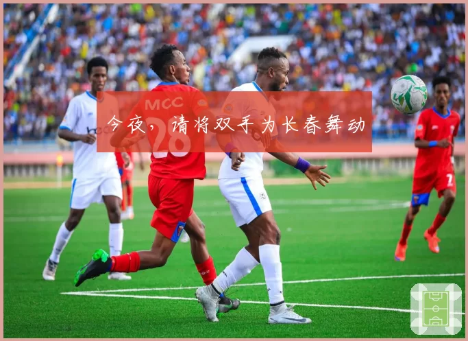 今夜，请将双手为长春舞动