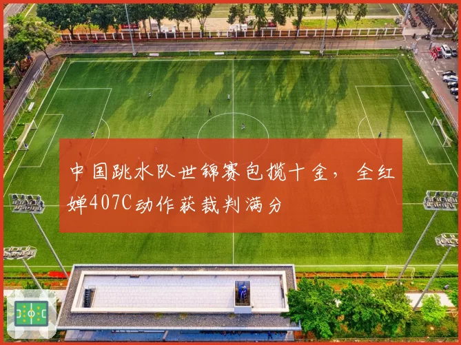 中国跳水队世锦赛包揽十金,全红婵407C动作获裁判满分